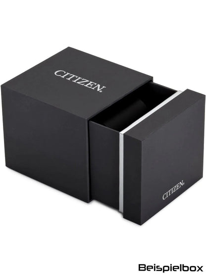 CITIZEN TSUYOSA SHORE POWER RESERVE NJ0231-56L