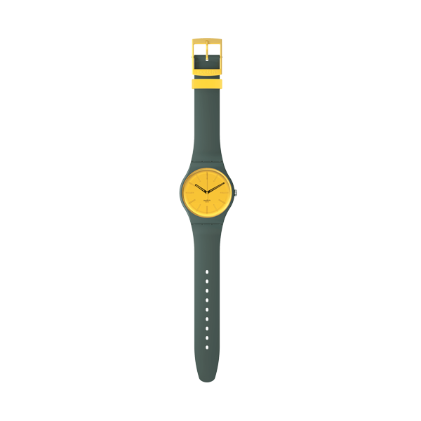 ЧАСЫ SWATCH SO29G103